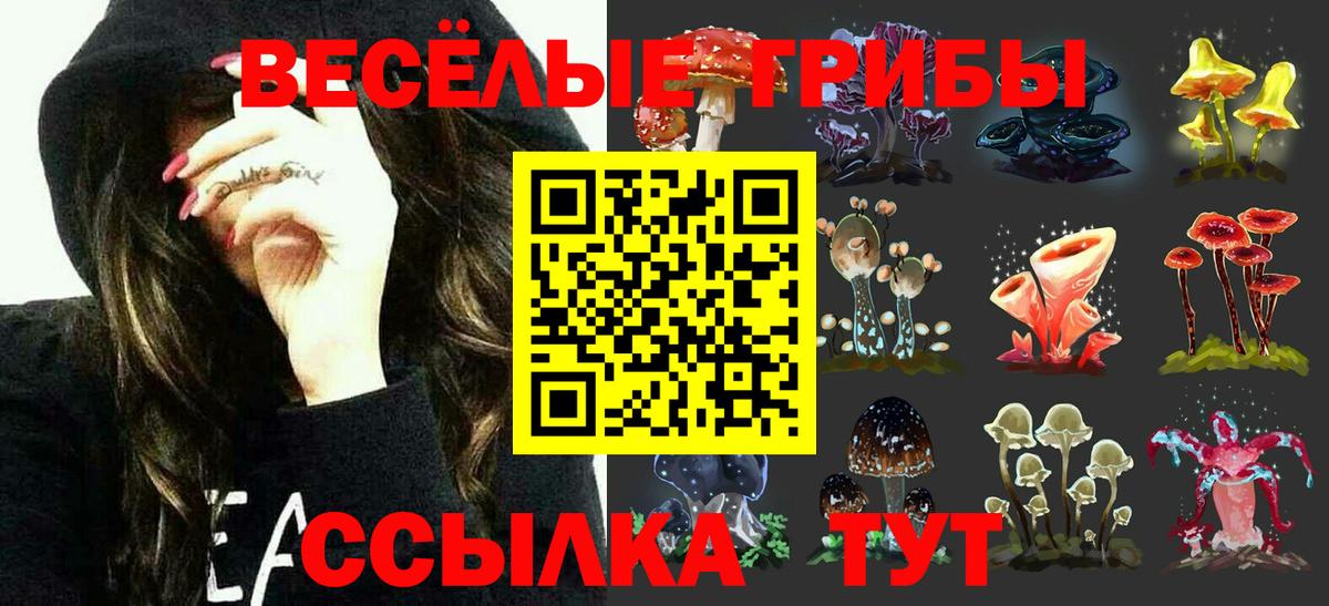 Псилоцибиновые грибы Magic Shrooms  Вход с VPN  наркота  Псилоцибиновые грибы Psilocybine cubensis  Асбест 